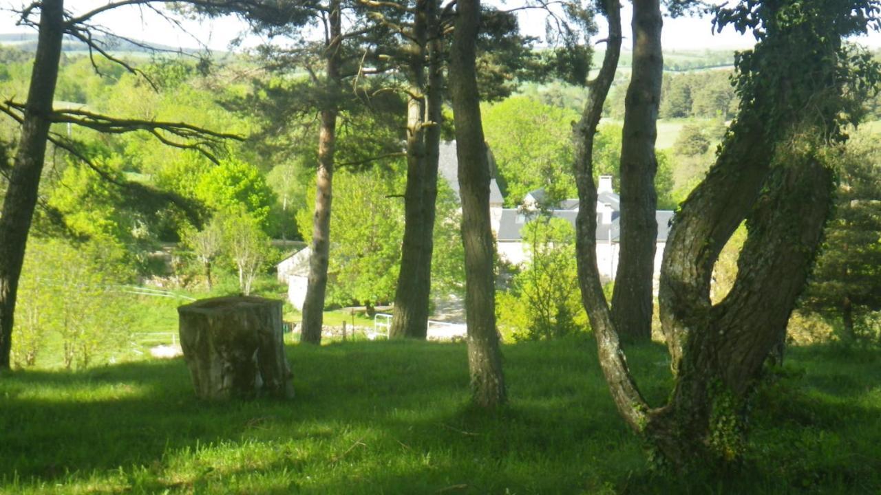 Mas De La Boheme - L'Hermet Saint-Léons Eksteriør bilde